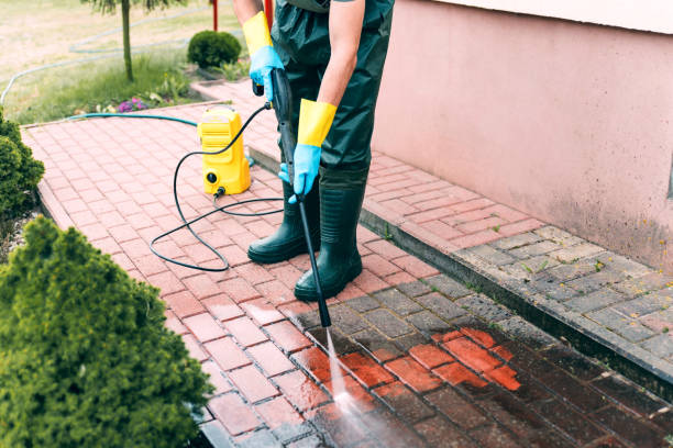 Best Pool Deck Cleaning  in San Antonio Heights, CA